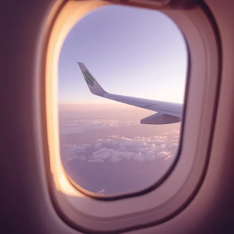 Flight search